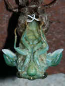 cicada 7-26-06 number 36.jpg (150917 bytes)